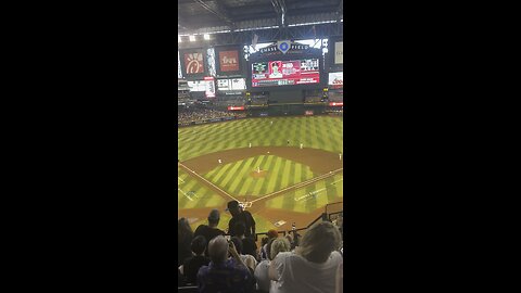 Dback game