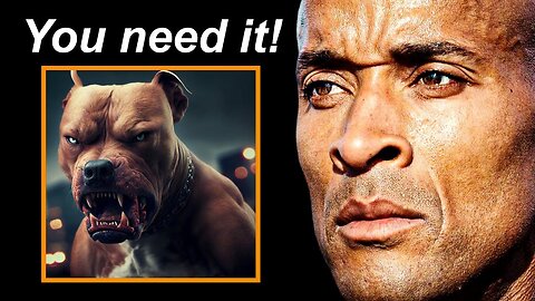 'You Need To Have A Dog In You' - David Goggins