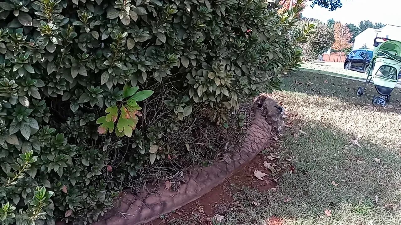 J Litter -Outside Playtime(1)