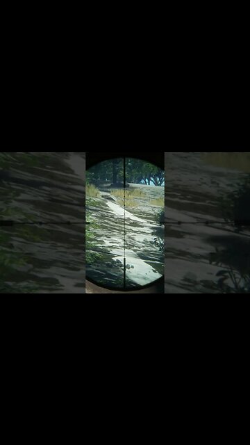 Can You See Him #callofthewild #cotw #game #mrandmrswolfgaming #shorts