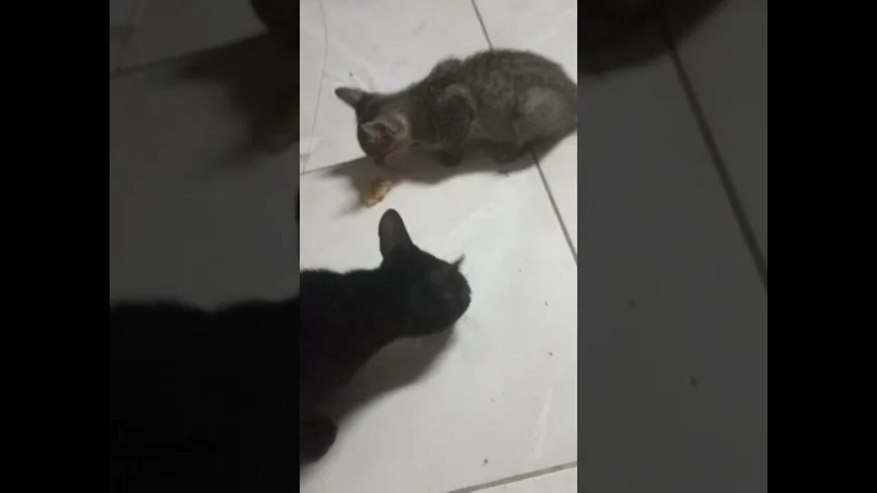 buka bersama mpus