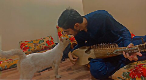 Cats Love Music. !!! (TRUST ME)