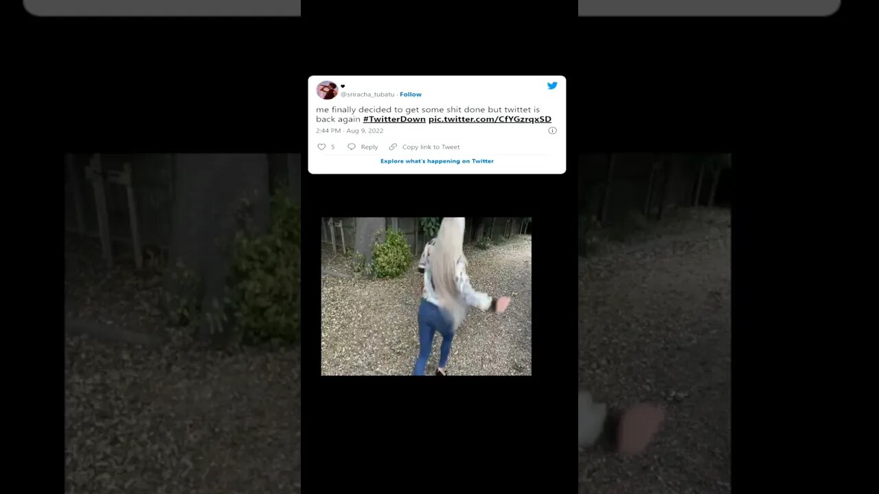 Twitter users react to Twitter being down #twitterdown 8/9/2022 #twitter #fyp #popreactionz