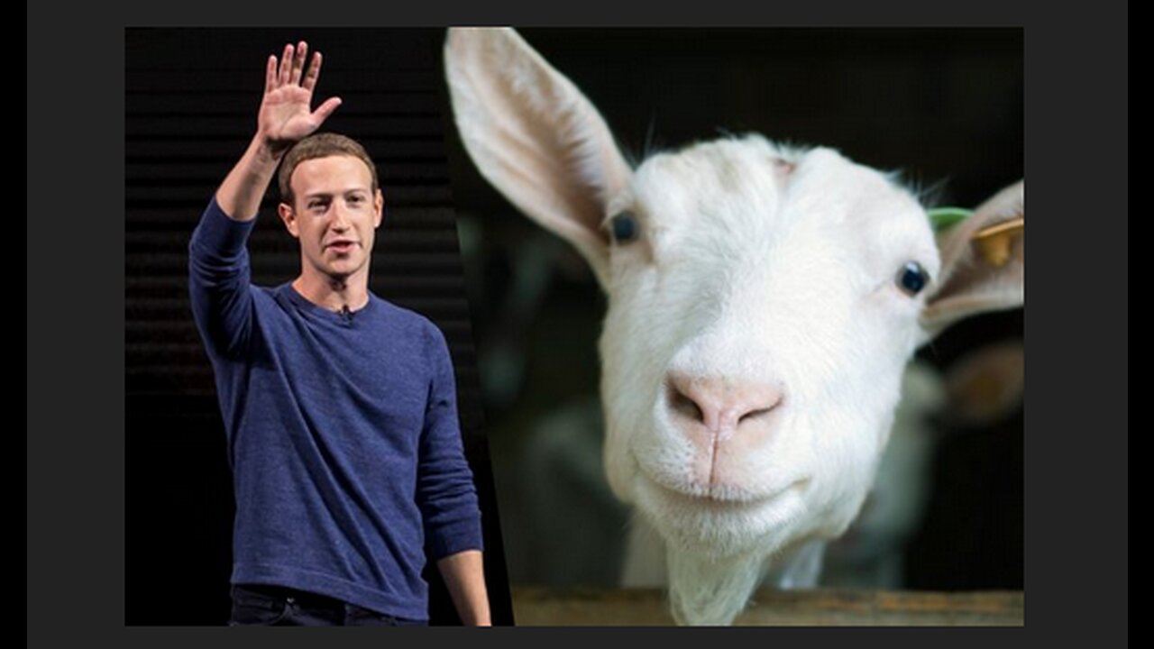 Did Mark Zuckerberg KILL A GOAT using a Laser? Prosecute Zucker-F'er Now?