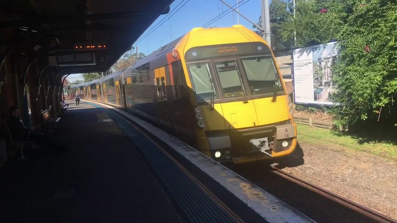 NSW trains vlogs 5 Gordon