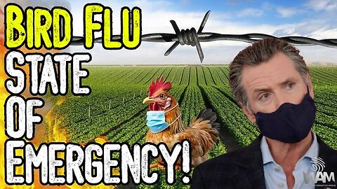 HERE WE GO: BIRD FLU STATE OF EMERGENCY! - Fauci Is Back As Latest Plandemic Hoax Continues!