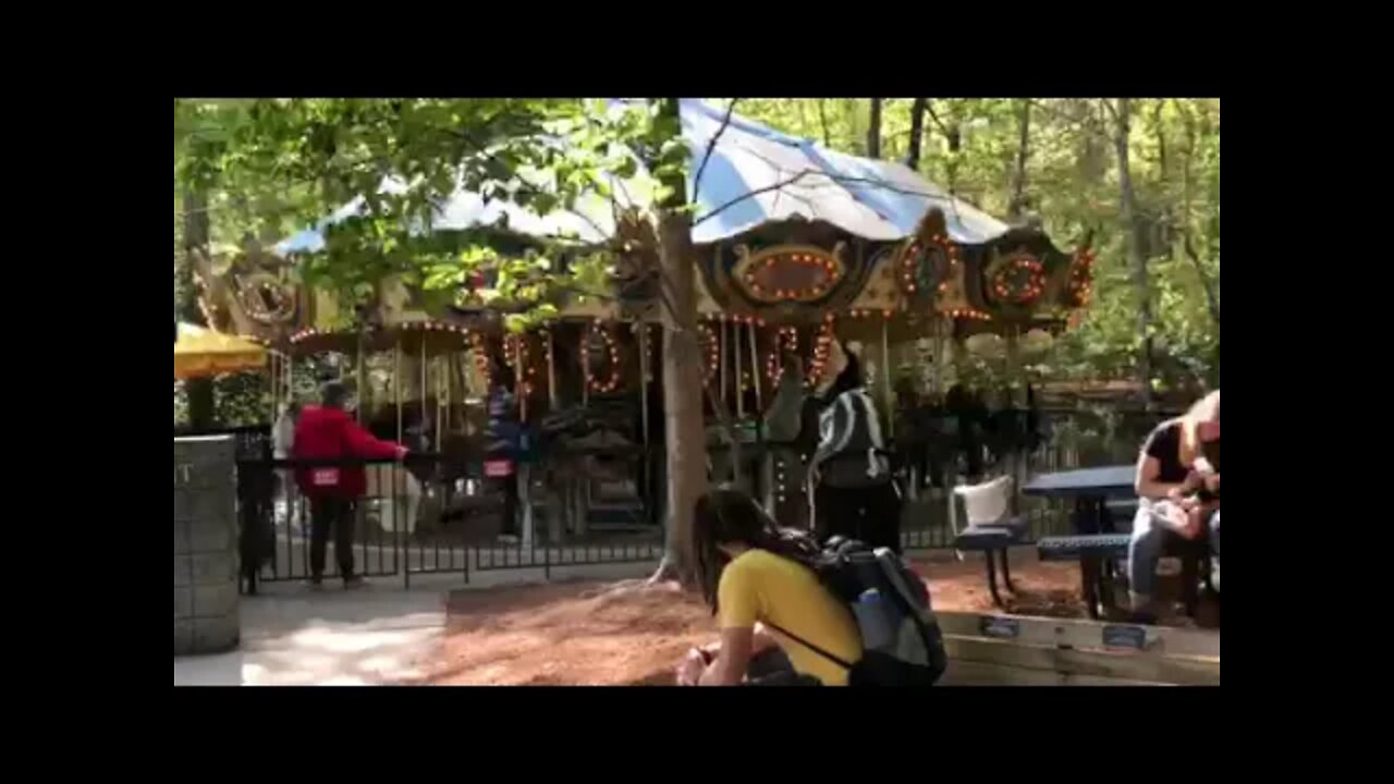 Merry-go-round featuring the animals of the North Carolina Zoo. Come walk with me, Steve Martin