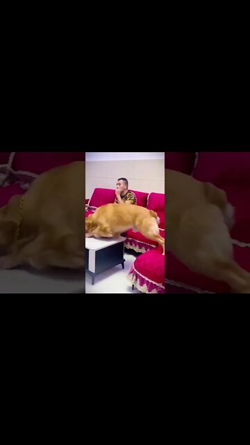 Beware This is how KARMA works Instantly ! You don't want to end up horribly wrong ...#short