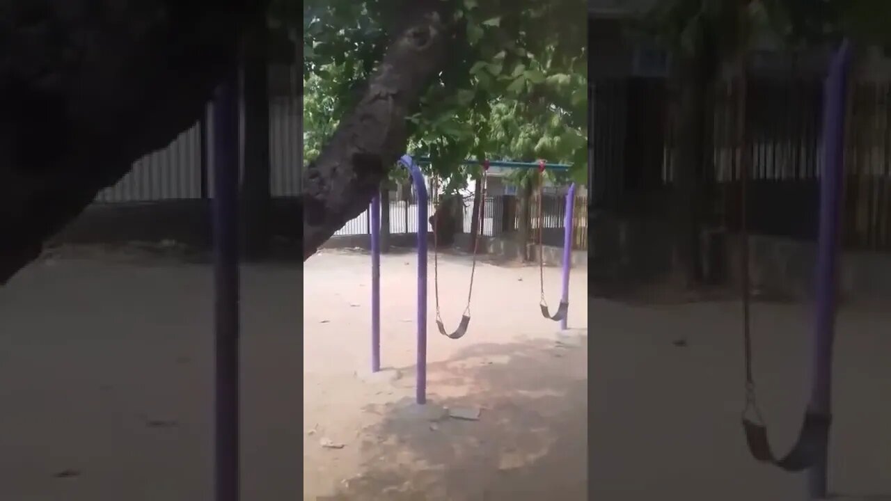 ۱۹ اوت ۲۰۲۲