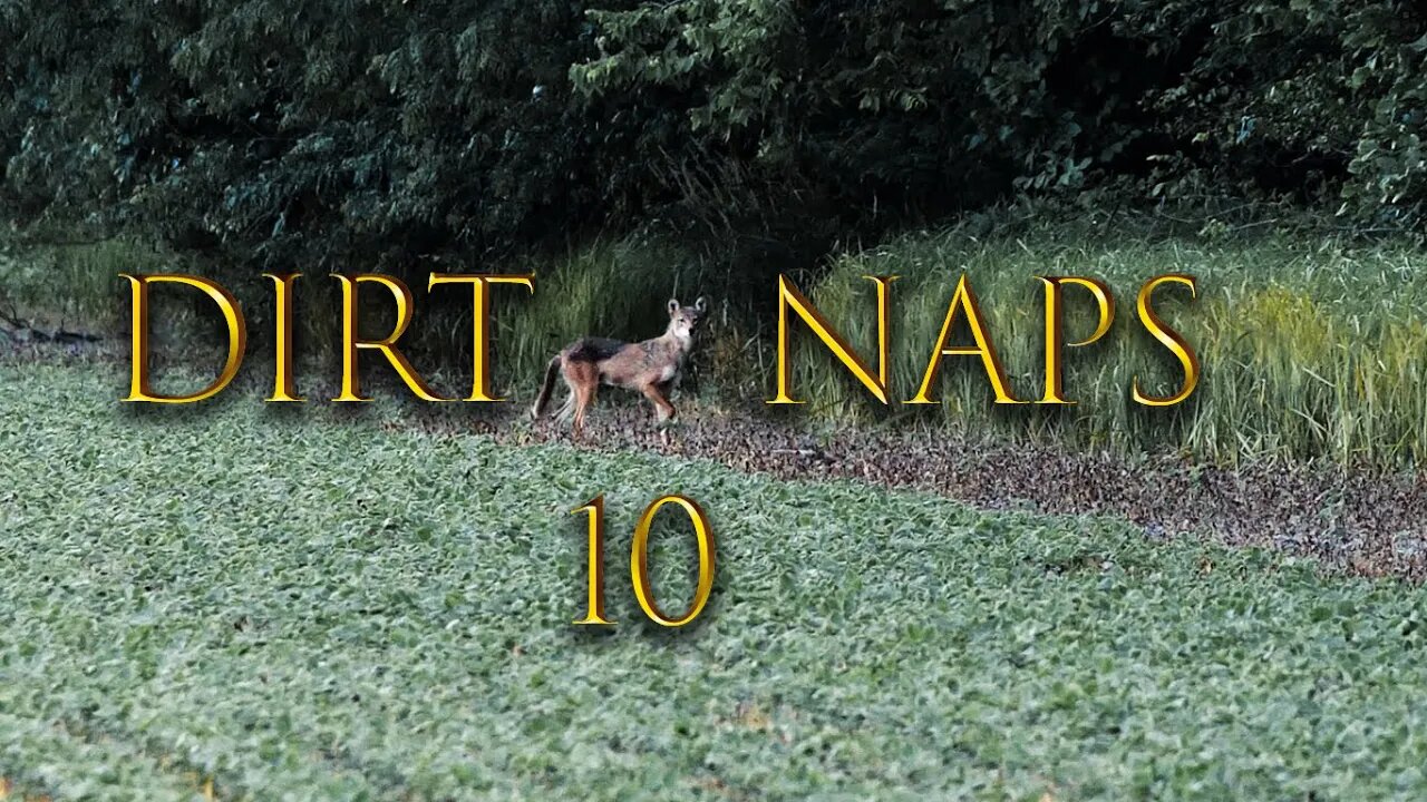 Dirt Naps 10 I Daylight Double Coyote Hunting