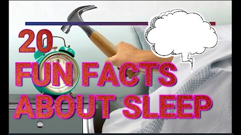 20 Fun Fact You Probably Did Not Know About Sleep