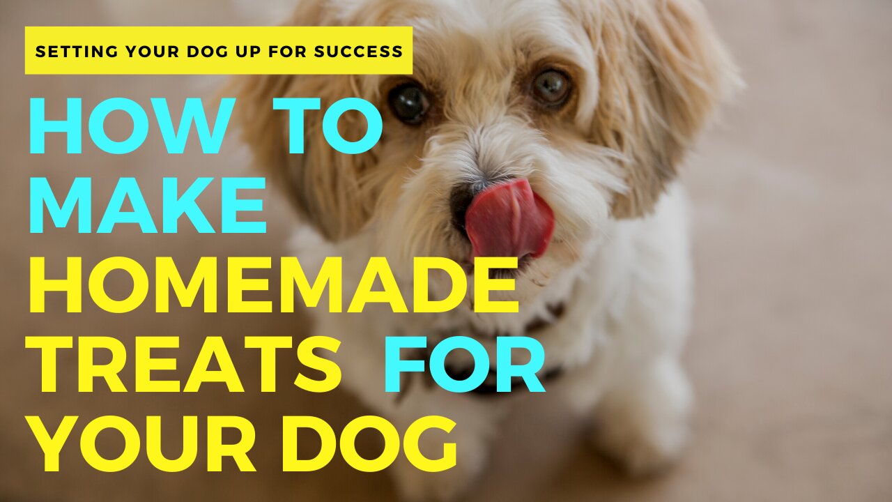 How to Make Homemade Treats for Your DOG!!