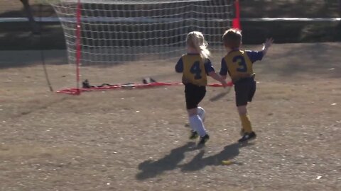 Small Stars: Tigers vs. Blue Leopards soccer