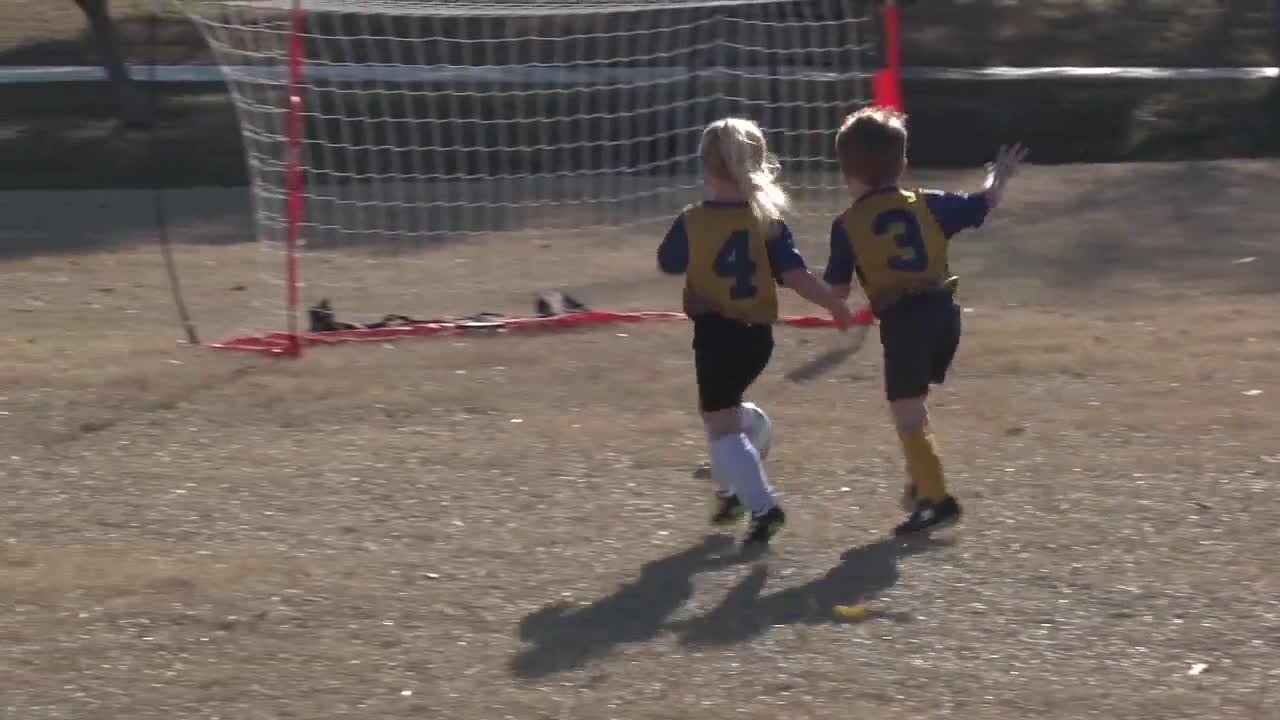 Small Stars: Tigers vs. Blue Leopards soccer