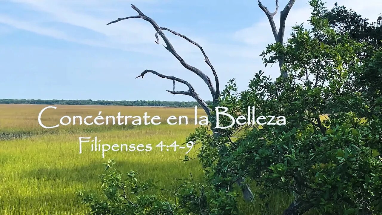 Filipenses 4.4-9 (RVR60) - Concéntrate en la Belleza