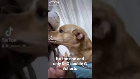 It's the one and only D-O double G #shorts