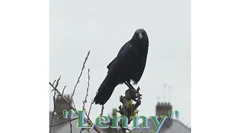 LENNY'S GRANDPA FOUGHT THREE EAGLES