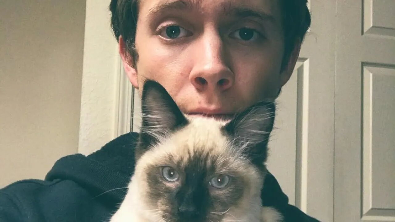 Joey Harrell | Peter Griffith - Family Guy