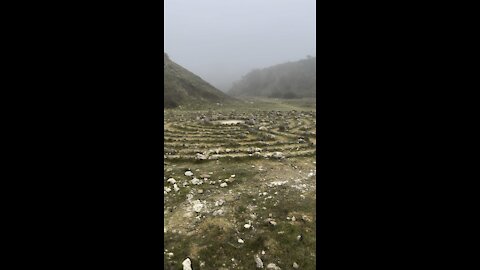 Lime Ridge Main Labyrinth