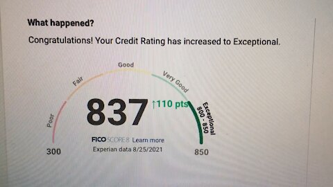 Blasian Babies DaDa Exceptional Credit Score!