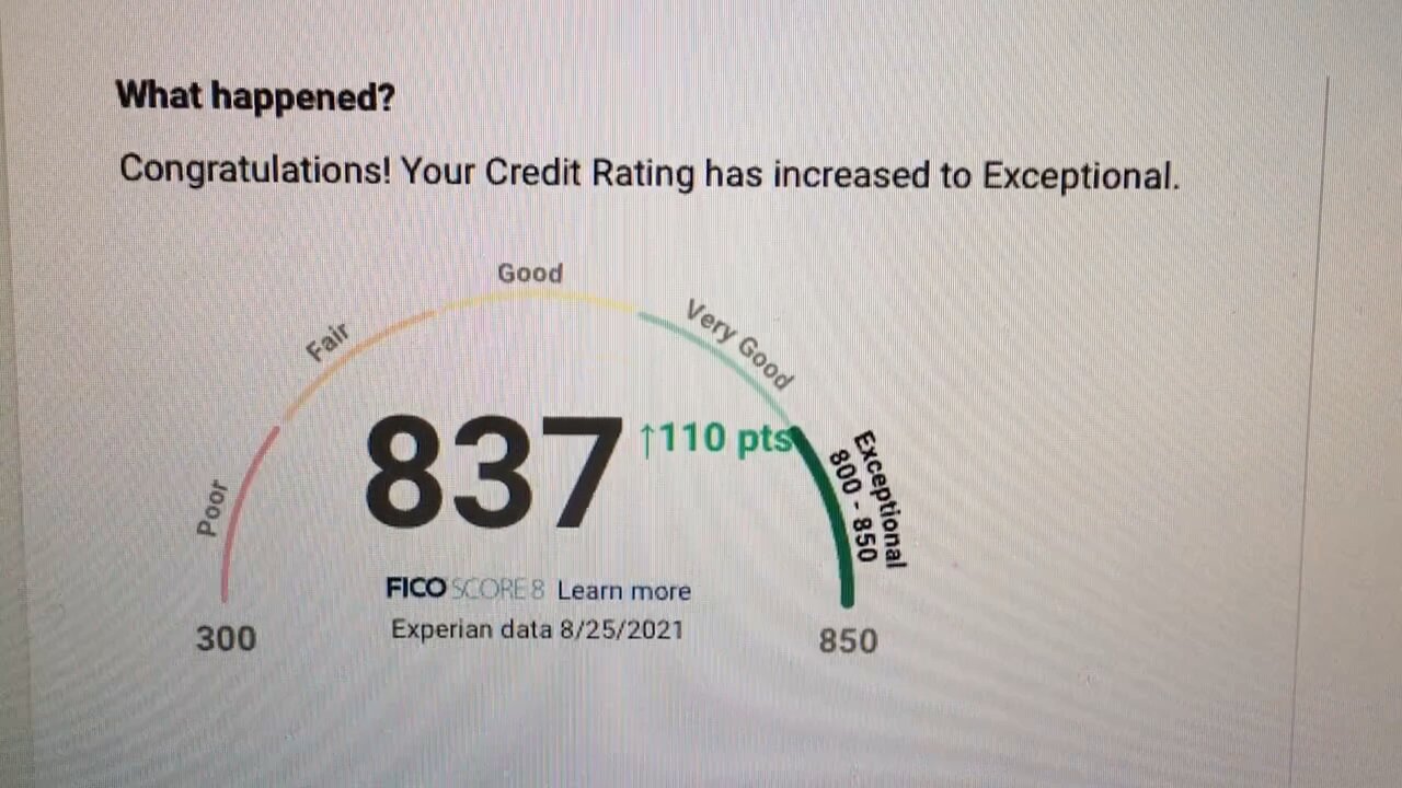 Blasian Babies DaDa Exceptional Credit Score!
