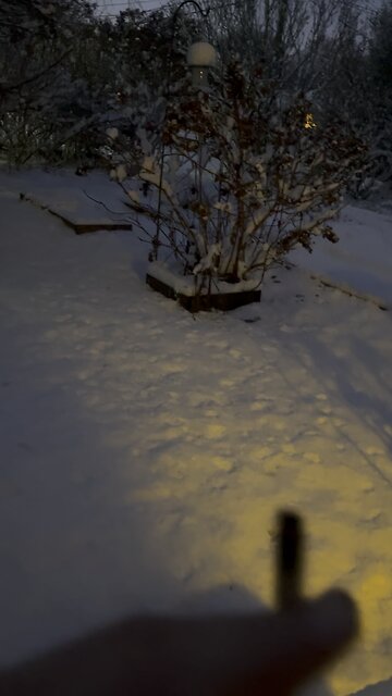 It’s the end of the world so I’m smoking