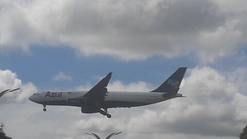 Airbus A330 PR-AIY vindo de Campinas para Manaus