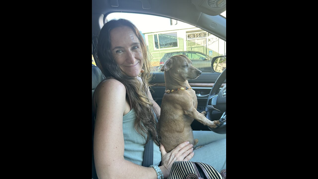 Introducing Marjorie Light