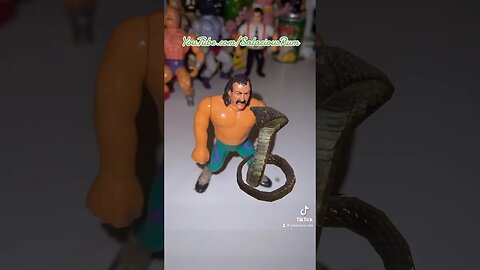 Jake ‘where is my snake?’ Roberts #wwf #hasbro #actionfigure