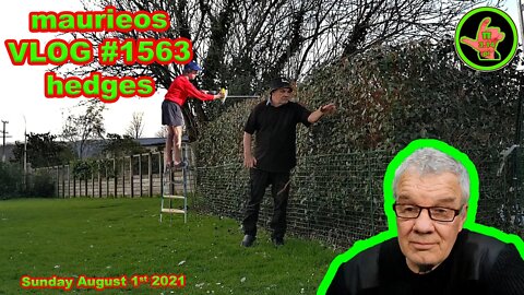 maurieos VLOG #1563 hedges