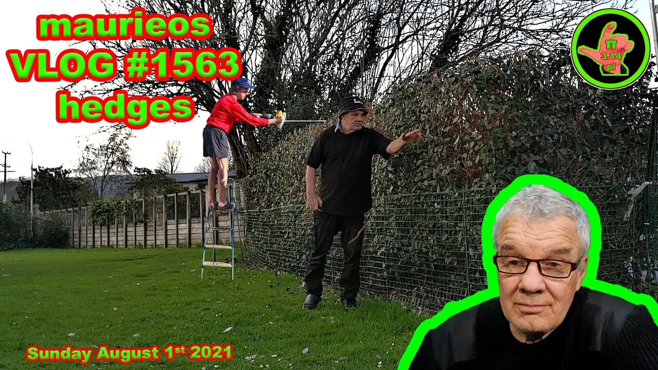 maurieos VLOG #1563 hedges