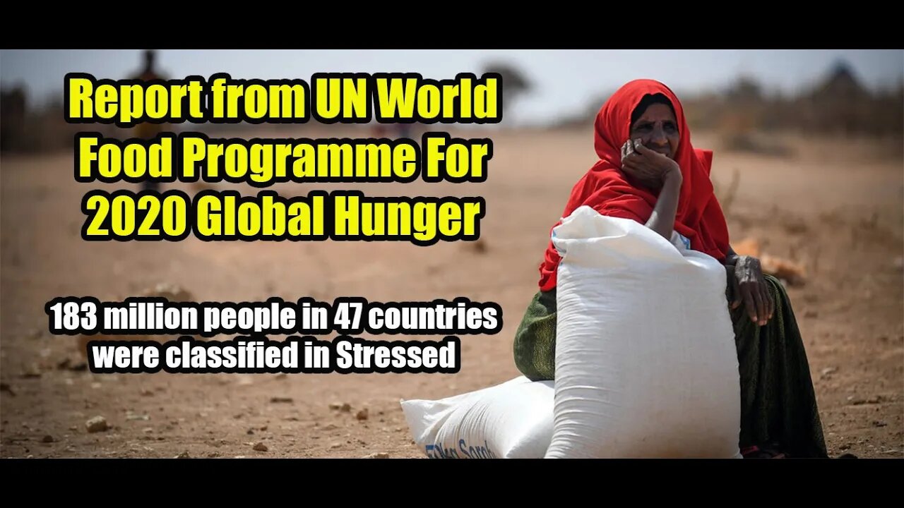 Report from UN World Food Programme For 2020 Global Hunger