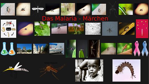 Das Malaria - Märchen