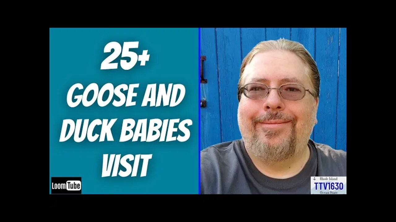 25+ GOOSE AND DUCK BABIES VISIT - 053022 TTV1620