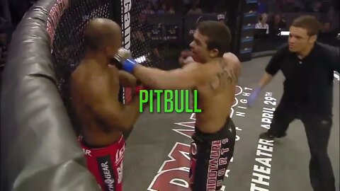 #shorts #ufc #mma #ko #fight #heavyhitters #badintentions #pitbull #bellator #onechampionship