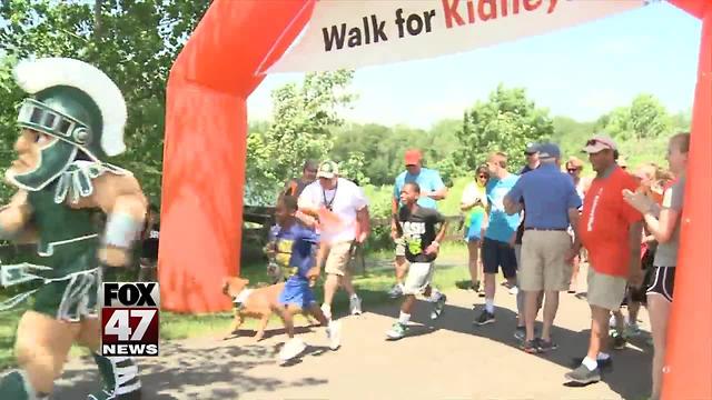 19th annual Greater Lansing Kidney Walk