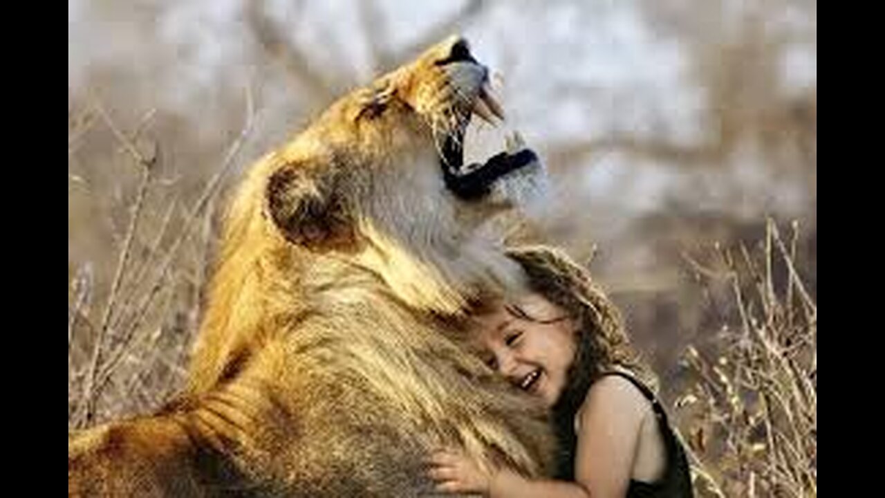 Animals are amazing creatures and show love ❤️ towards 💕💕