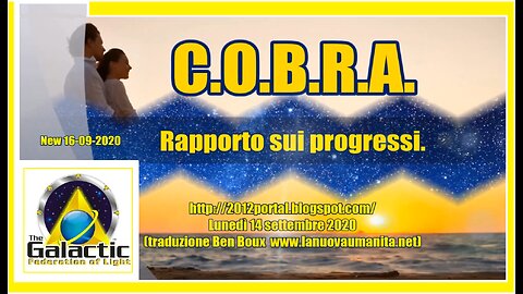 C.O.B.R.A. Rapporto sui progressi.2020