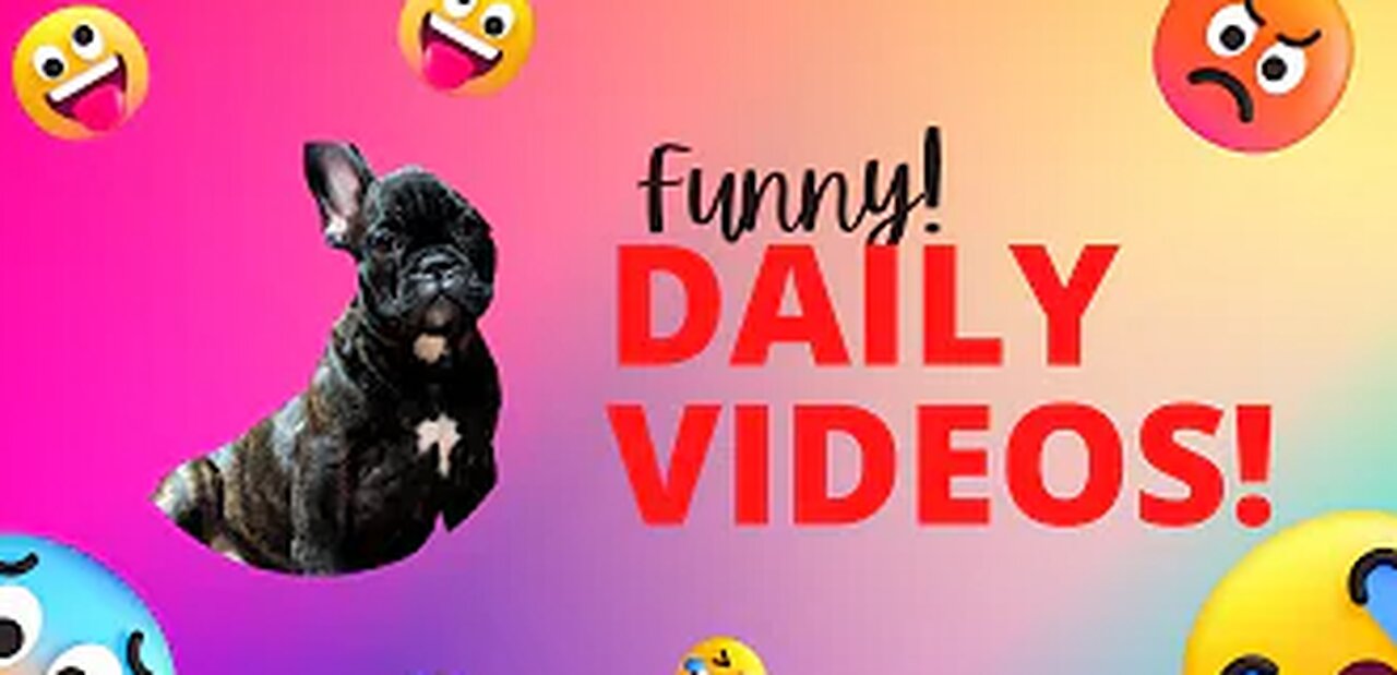 Funny Animal Videos 2023 π - Funniest Animal Videos πΊπ#08