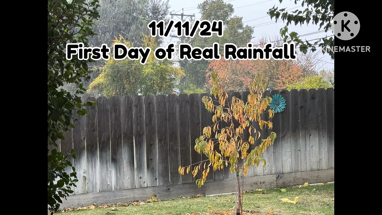 First Day of Rainfall in NorCal - 11/11/24