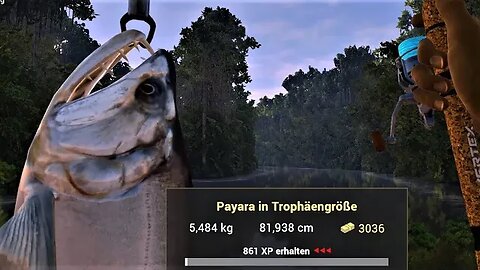 Fishing Planet Staffel 3 Folge 62 Maku Maku Einzigartige Payara`s ?