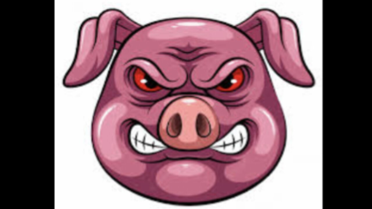 A Mad Hog Makes A Mess