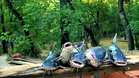 How to Clean and Cook Delicious Catfish