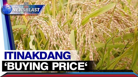 Itinakdang 'buying price' para sa dry at fresh palay, hindi lubos na mararamdaman