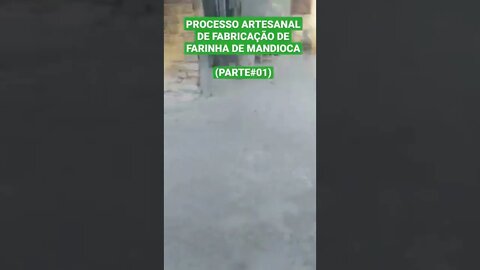 PROCESSO ARTESANAL DE FABRICAÇÃO DE FARINHA DE MANDIOCA ( PARTE #01)