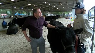 Polk County teen remembered as community rallies behind his steer during youth fair auction