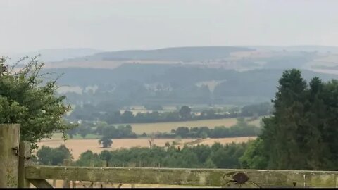 Countryside exploration with the kids