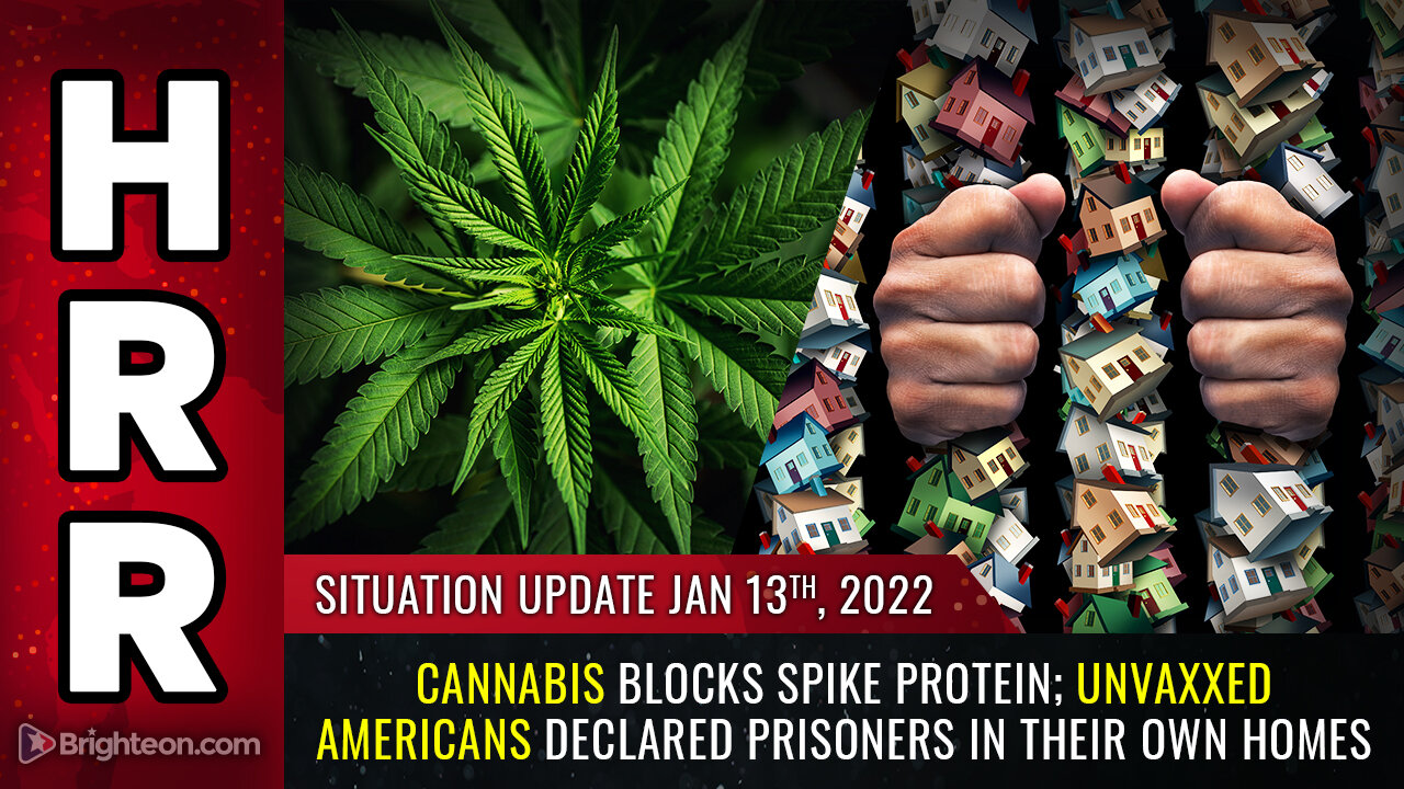 Situation Update, 1/13/22 - Cannabis blocks SPIKE PROTEIN...