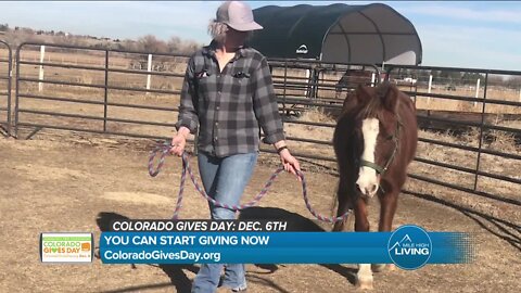 Your Favorite Non-Profits // Colorado Gives Day