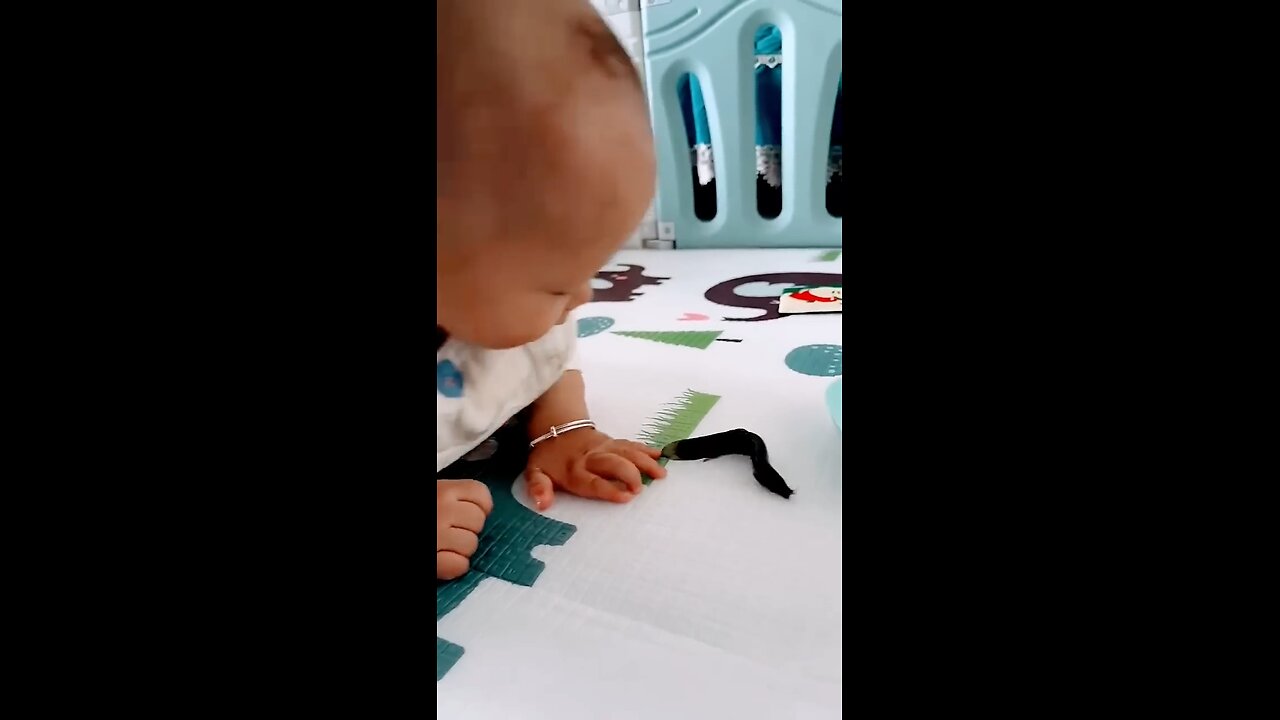 cute baby playing with fish